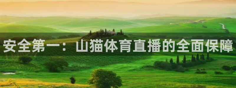 咪咕视频下载免费：安全第一：山猫体育直播的全面保障