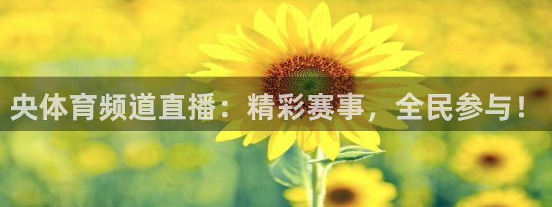 咪咕体育视频直播官网：央体育频道直播：精彩赛事，全民参与！