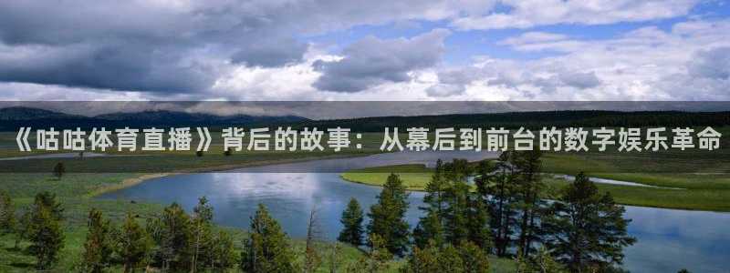 下载咪咕体育直播：《咕咕体育直播》背后的故事：从幕后到前台的数字娱乐革命