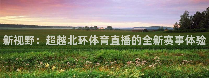 咪咕视频官站：新视野：超越北环体育直播的全新赛事体验