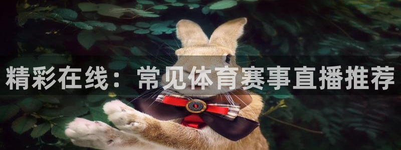 咪咕视频体育直播郑钦文今天：精彩在线：常见体育赛事直播推荐