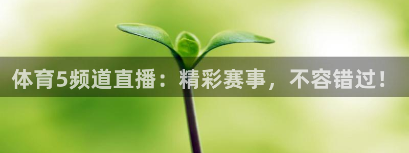 咪咕直播：体育5频道直播：精彩赛事，不容错过！