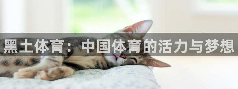 咪咕视频体育直播网页版：黑土体育：中国体育的活力与梦想
