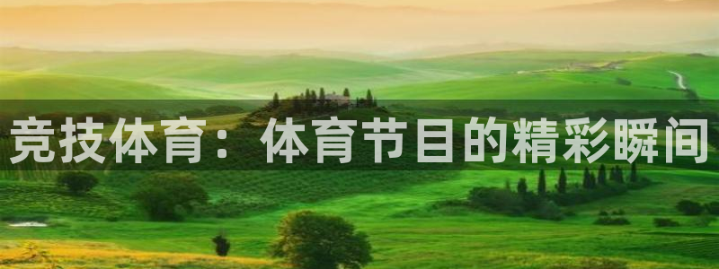 咪咕视频官方免费下载：竞技体育：体育节目的精彩瞬间
